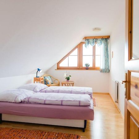 Ferienwohnung Stiegelbauer Fichte Sausal 외부 사진